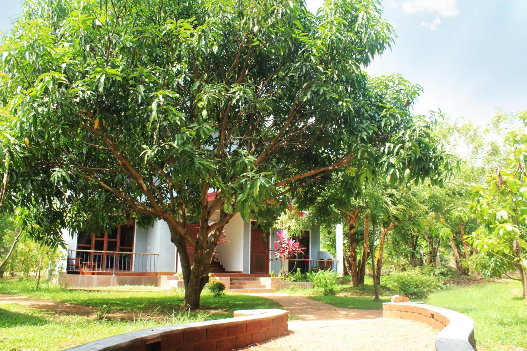 Green Hut Nature Resort Sigiriya Exterior photo